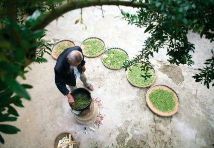 贡茶做法视频,传统技艺与现代创新的完美融合