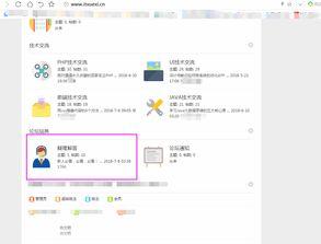 it视频资源,深度解析热门视频资源