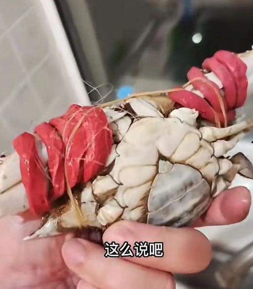 如何绑螃蟹视频,螃蟹绑扎技巧，跟随视频教程，告别手忙脚乱