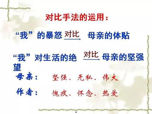 秋天的怀念朗读视频,深情回忆与无尽思念