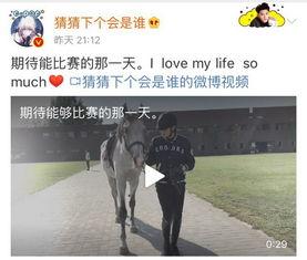 配马视频视频播放,跟随配马视频,领略骑乘艺术之美