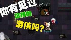白龙马蹄朝西歌曲视频,探寻古典旋律中的奇幻之旅