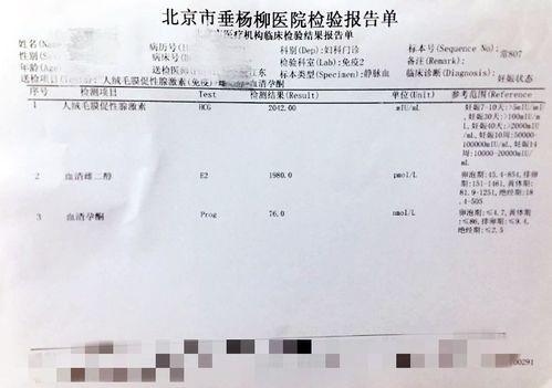 受精过程记录视频,微观视角下的生命起源瞬间