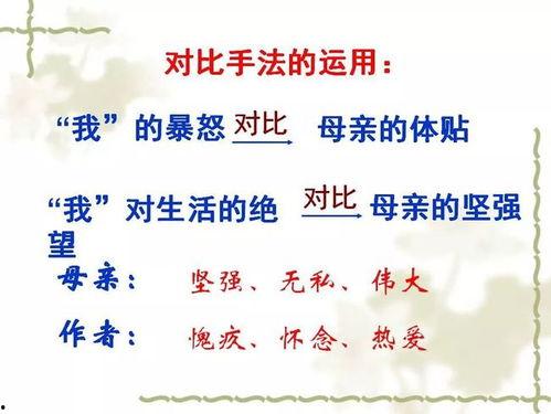 秋天的怀念教学视频,教学视频深度解析与感悟